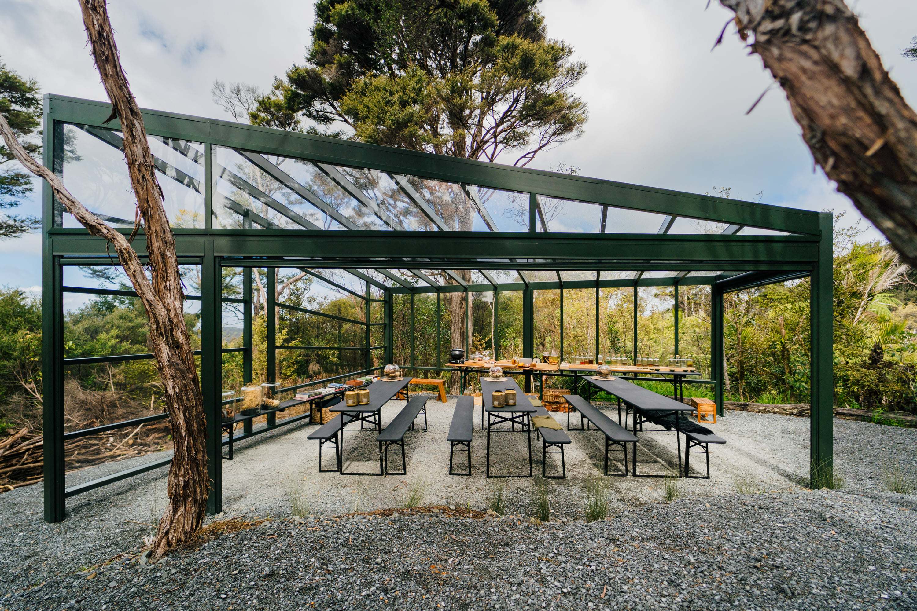 Shallow-pitch pergola beneath a forest canopy